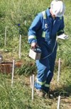 service1